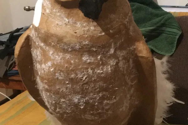 butaforie pasari bufnita 02