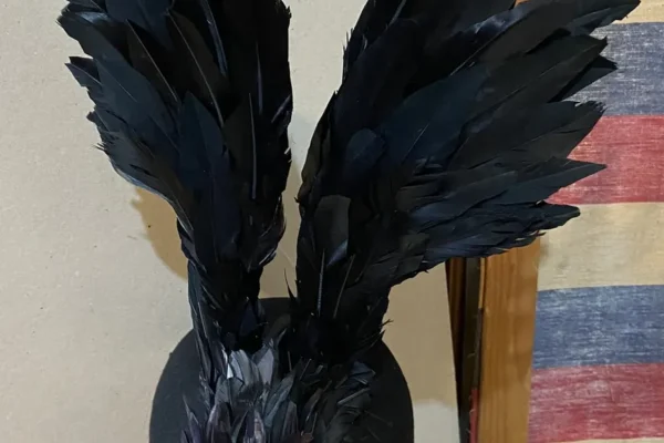 palarie teatru 14